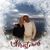 Barbara Reilly-Canino's profile image