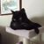Terri Jackson-Walkington's profile image