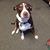 Kim Bruning's profile image
