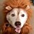 Skuba Steve Arciniega's profile image