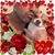 Pedro Ramos's profile image