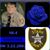Alan Streicher's profile image