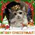 Lisa Dean's profile image
