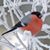 Lisa Wilt Oravec's profile image