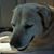 James M Sheerin's profile image