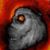 David Petrosky's profile image
