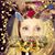 Paula Allen Moreno's profile image