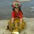 Dana Dutsch's profile image