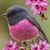 Nancy Willroth's profile image