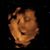 Judy Lozano's profile image