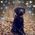 Sandra Osborn Ziegler's profile image