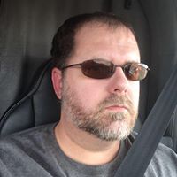 David Williams's profile image