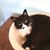 Peggy Ott's profile image
