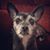 Marc Collins's profile image