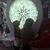 Marisol Mendez's profile image