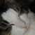 Amy Parpart's profile image