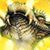 Rose Marlow's profile image