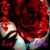 Ginger von Berg's profile image