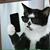 Anastacio Olivarez's profile image