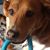 Tripp Bishop's profile image