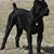 Geremy Robnett's profile image