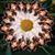Teresa Brown's profile image