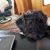 Carol Mathers's profile image