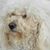 Jeff Kalishman's profile image