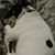 Tanya Rhoades Smith's profile image