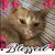 Lindsay Walker's profile image