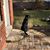Victoria Miller Barkoff's profile image