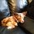 Sandi Mcdaniel's profile image