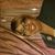 Kecia Garland's profile image