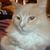 Muddy Paws's profile image