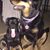 Kimberly J Kizer's profile image