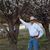 Don Cotten's profile image