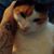 Jessie Garcia's profile image