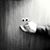 Rose Witesman's profile image