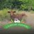 Dee Dee Davidson Wheeler's profile image