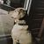 Susan Ladd's profile image
