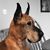 Michele Neff's profile image