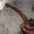 Carleen Scott Grant's profile image