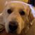 Kerry DeToy Blask's profile image