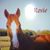 Melinda DeBell Ammirati's profile image