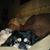 Tammy Benton's profile image