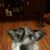 Karson Koetter's profile image