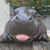 Hydro Court's profile image