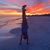 Lisa Brendel Hoffman's profile image