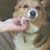 Donna Goodenow's profile image