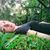 KristinaMarie Platt's profile image